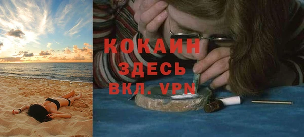 индика Балабаново
