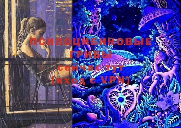 индика Балабаново