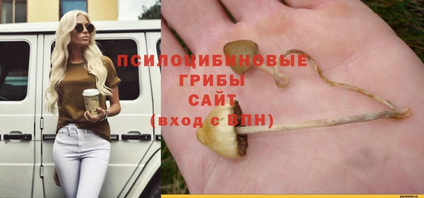 a pvp Баксан