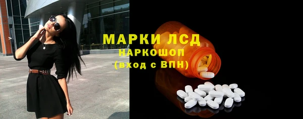 индика Балабаново