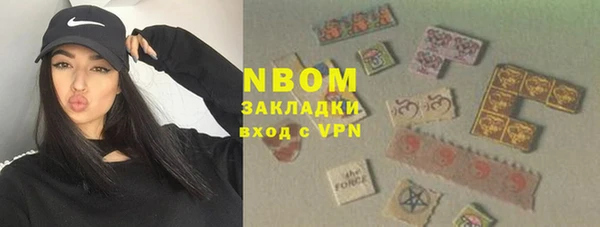 индика Балабаново