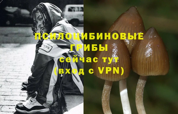 марки lsd Балахна